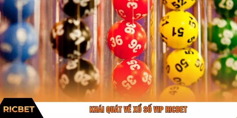 Khái quát về xổ số VIP RICBET