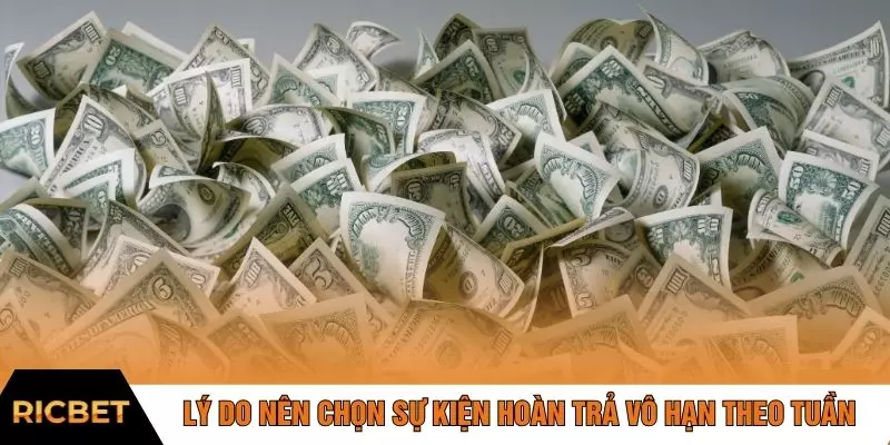 Lý do nên chọn sự kiện hoàn trả vô hạn theo tuần