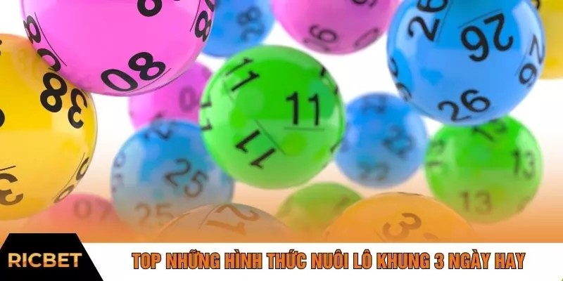 Top những hình thức nuôi lô khung 3 ngày hay